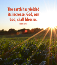 Click for high resolution graphic.